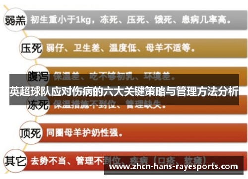 英超球队应对伤病的六大关键策略与管理方法分析 英超球队应对伤病的六大关键策略与管理方法分析