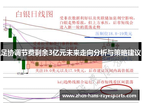 足协调节费剩余3亿元未来走向分析与策略建议 足协调节费剩余3亿元未来走向分析与策略建议