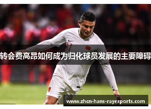 转会费高昂如何成为归化球员发展的主要障碍