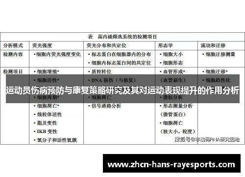 运动员伤病预防与康复策略研究及其对运动表现提升的作用分析 运动员伤病预防与康复策略研究及其对运动表现提升的作用分析