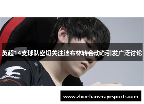 英超14支球队密切关注迪布林转会动态引发广泛讨论